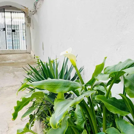 Alazul Campillo Appartement Conil De La Frontera