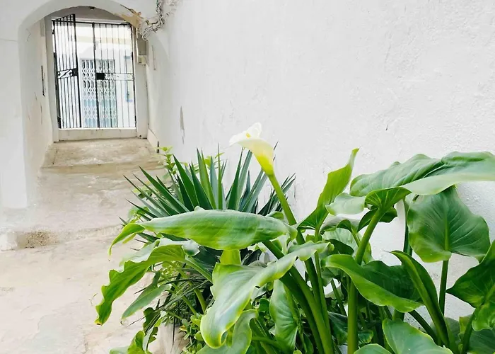 Alazul Campillo Apartament Conil De La Frontera